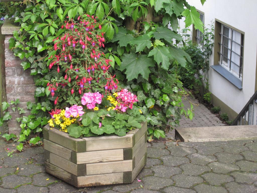 Heidi'S Art Hotel Arnsberg Eksteriør billede